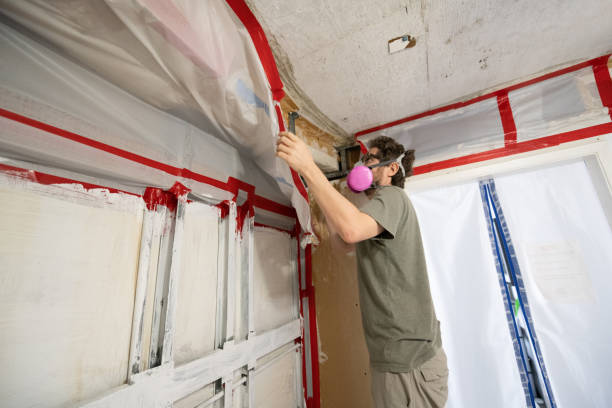 Mold Documentation for Insurance Claims in Glastonbury Center, CT