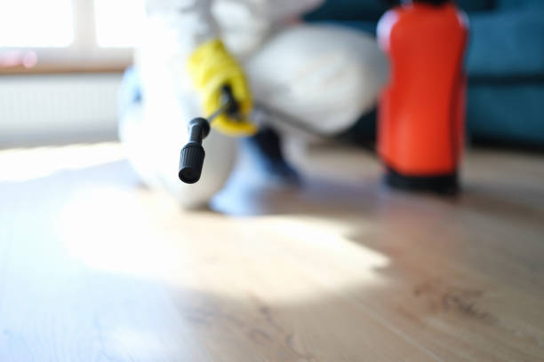  Glastonbury Center, CT Mold Removal Pros