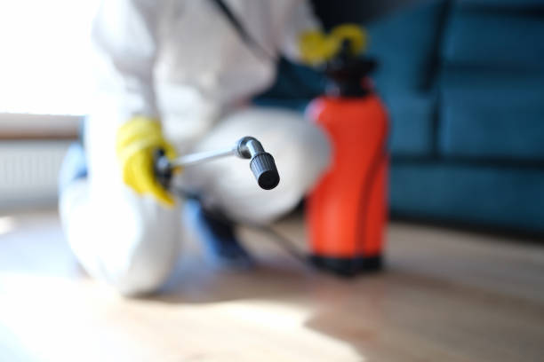 Best Commercial Mold Inspection  in Glastonbury Center, CT