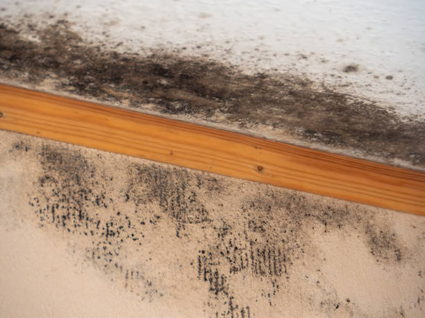 Best Indoor Air Quality Assessment  in Glastonbury Center, CT