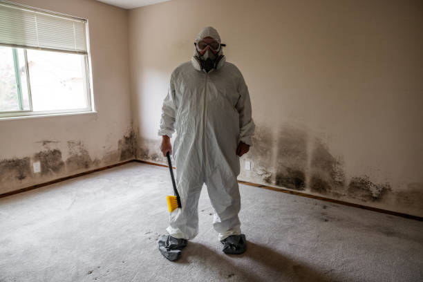 Best Industrial Mold Remediation  in Glastonbury Center, CT