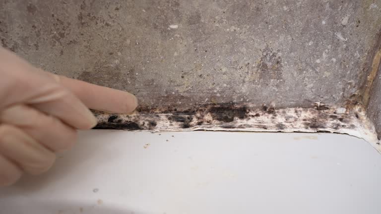 Best Mold Odor Removal Services  in Glastonbury Center, CT